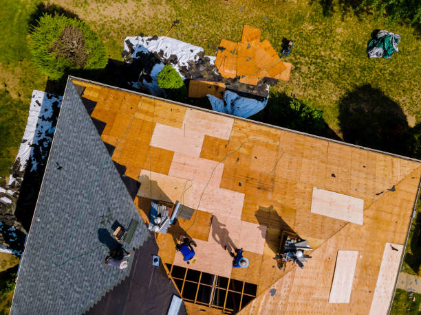 Quick and Trustworthy Emergency Roof Repair Services in Penitas, TX