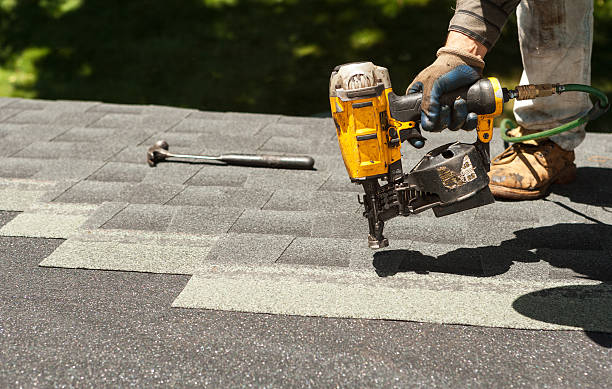 Best Roof Gutter Cleaning  in Penitas, TX